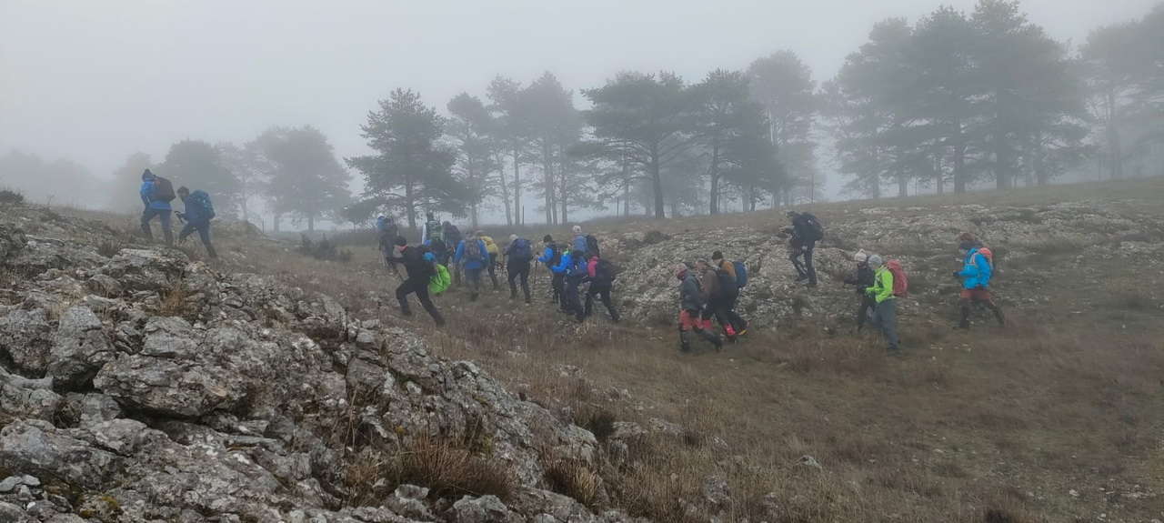 WhatsApp Image 2026-02-10 at 14.47.45